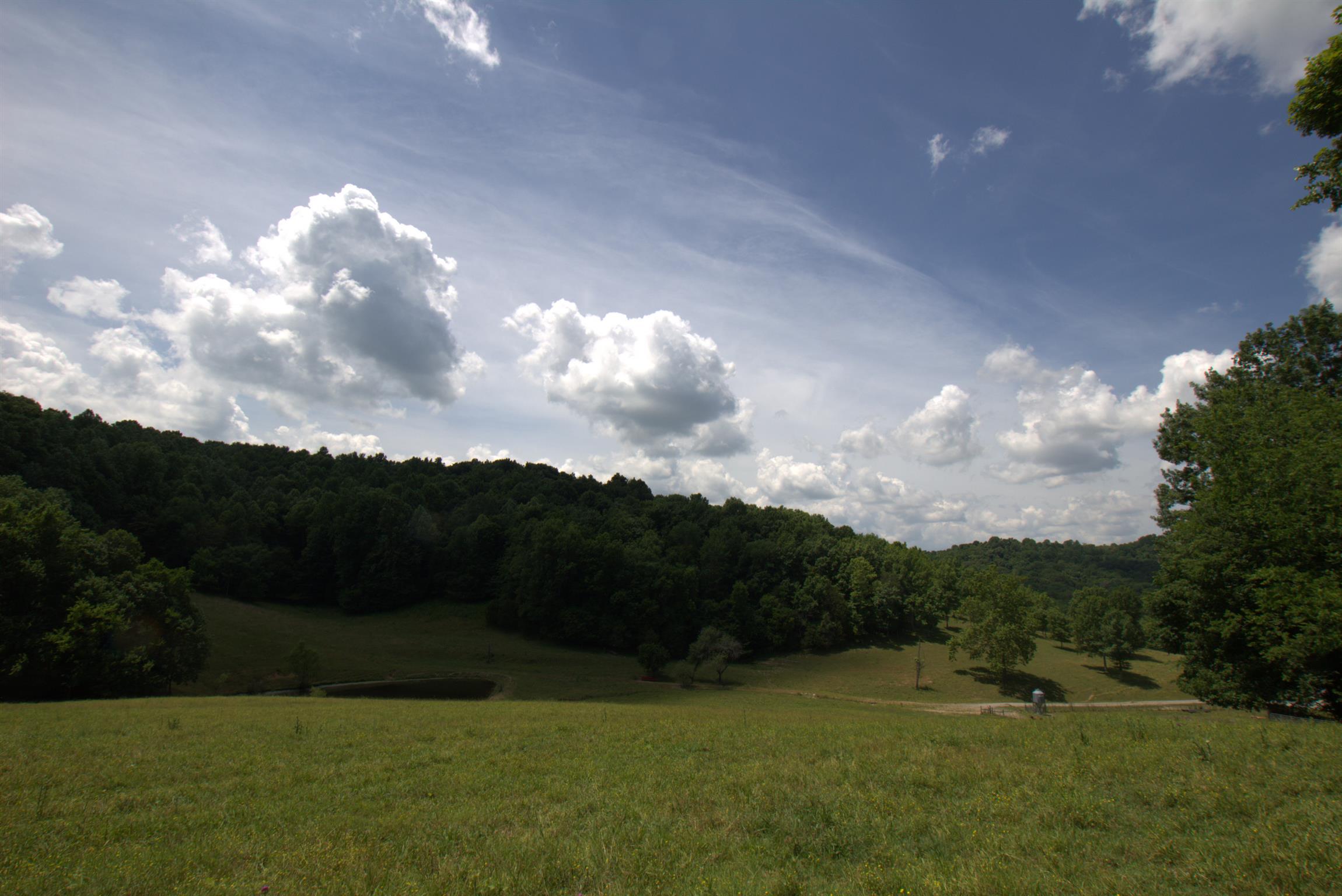 3216 Springplace Road Lewisburg, TN 37091 - Photo 9 of 22 Gallery Image 9