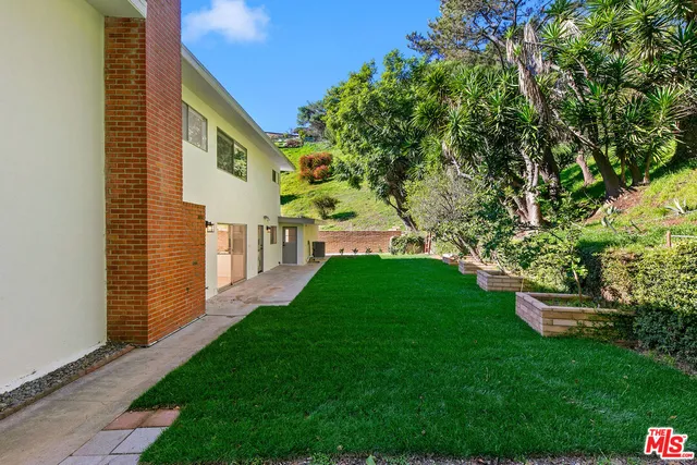 a view of a green field with plants