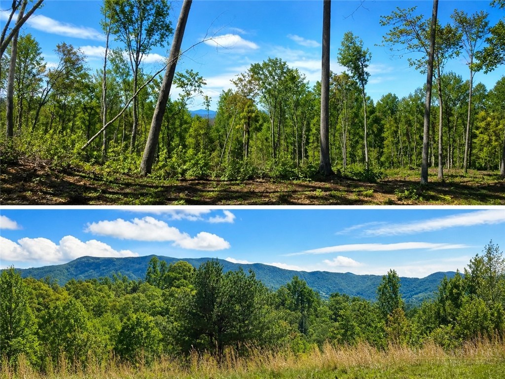 Lot #41 Lost Ridge Trail Vilas, NC 28692 - Photo 1 of 8