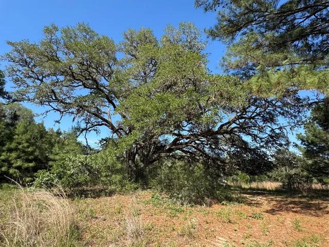 $214,500 | 2183 Farm To Market 3283 Hallettsville Tx 77964, Hallettsville, TX 77964