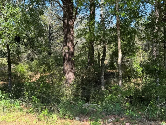 $214,500 | 2183 Farm To Market 3283 Hallettsville Tx 77964, Hallettsville, TX 77964