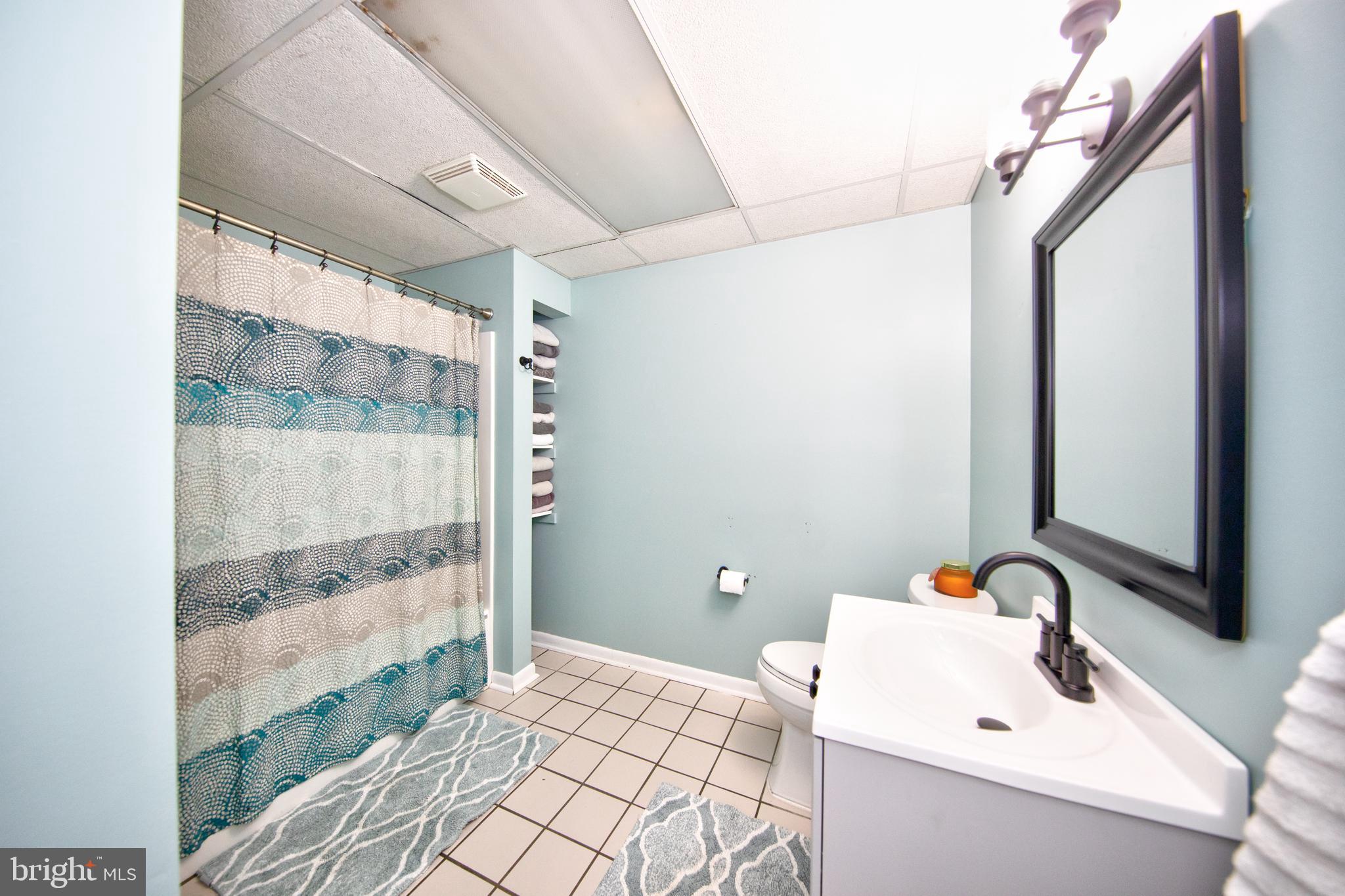 8 Weaver Meadows Road Conowingo, MD 21918 - Photo 26 of 40 Lower Level Bathroom