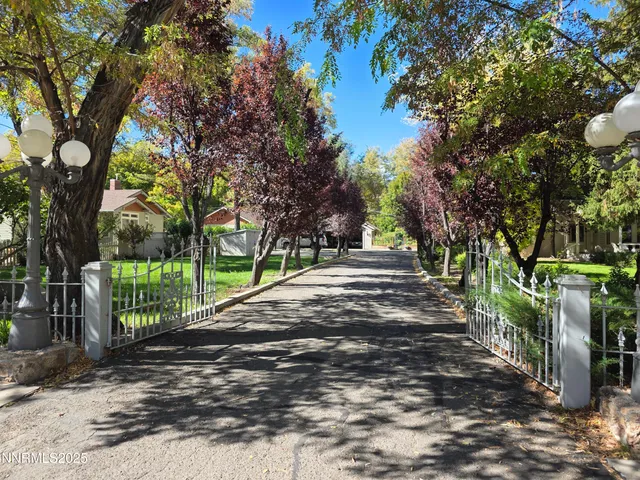 a view of backyard with tree