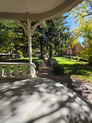 a view of a street with a tree in front of it