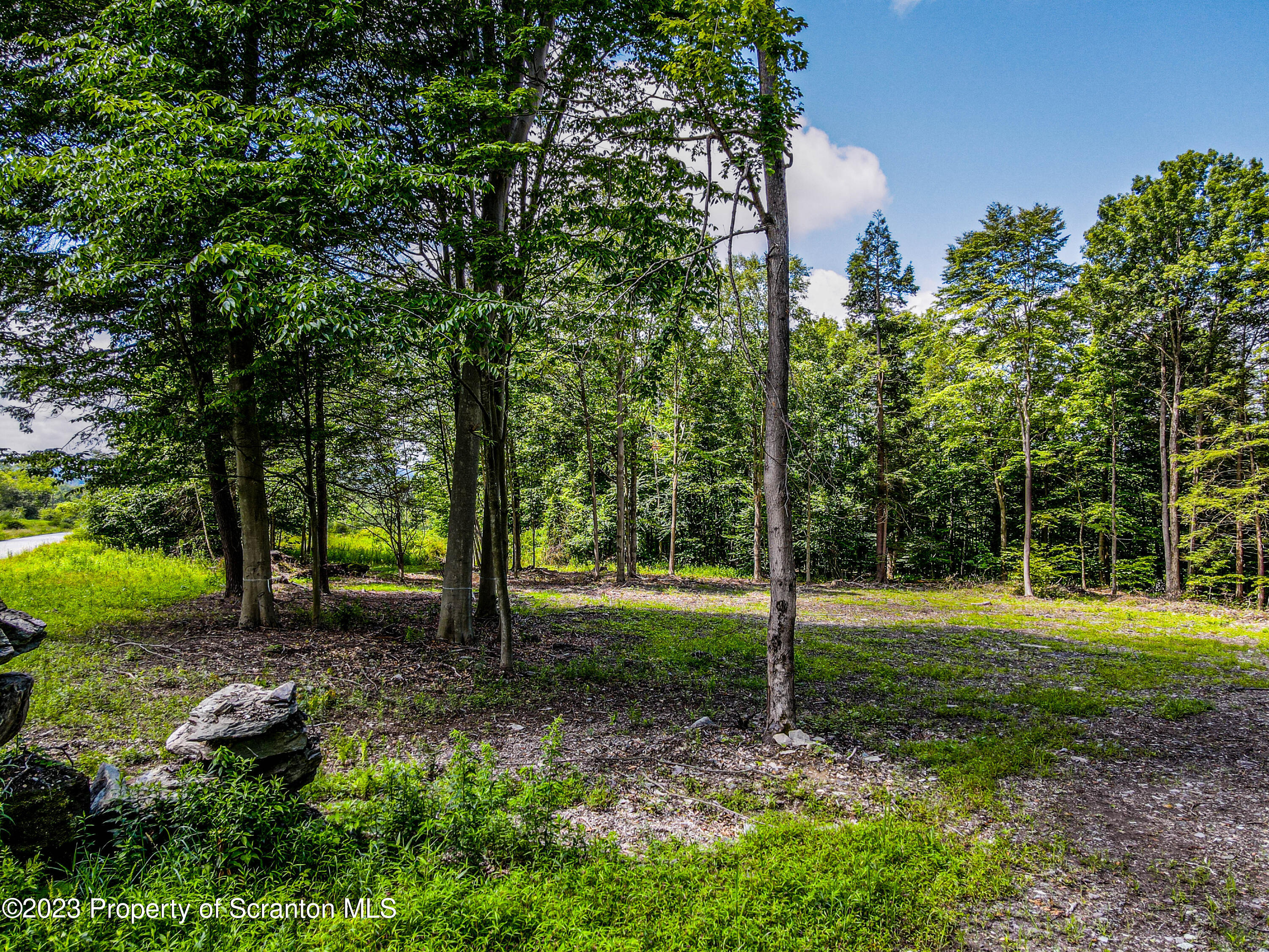 Lot #31 Wright Way Factoryville, PA 18419 - Photo 6 of 12 a view of a park with trees
