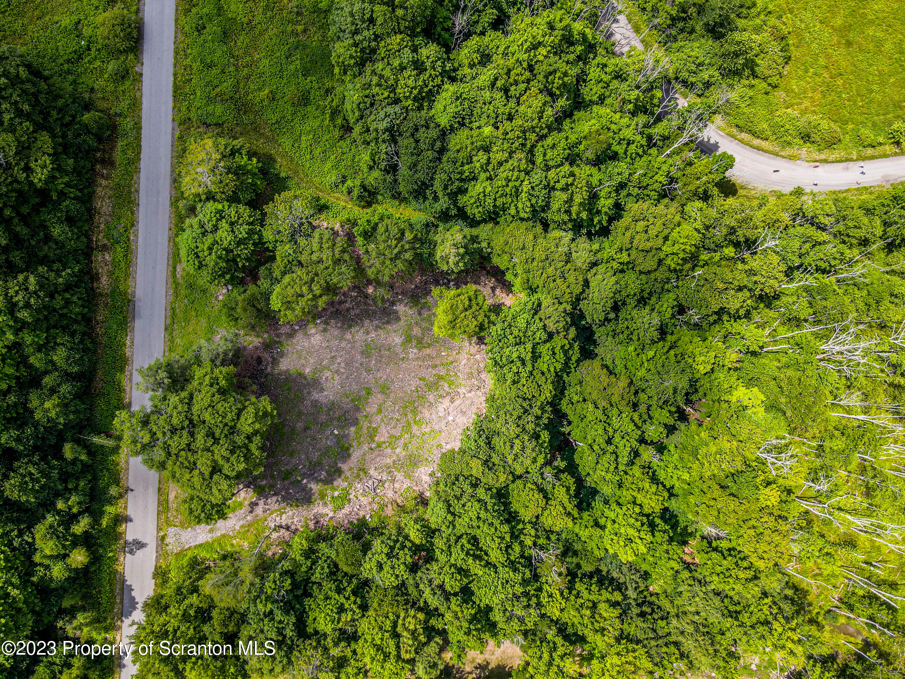 Lot #31 Wright Way Factoryville, PA 18419 - Photo 7 of 12 a view of a garden with a tree