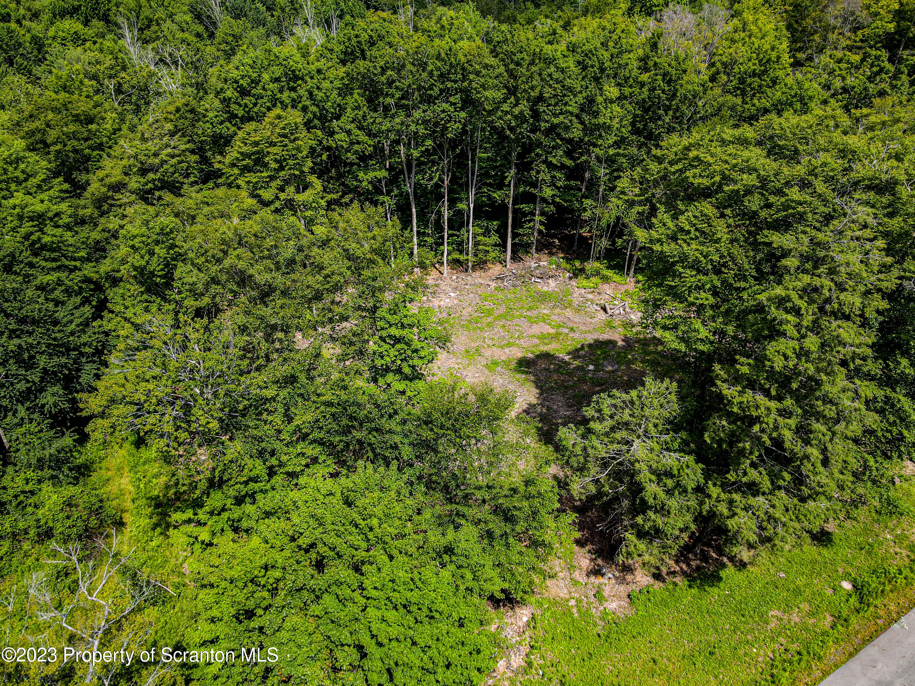 Lot #31 Wright Way Factoryville, PA 18419 - Photo 9 of 12 a backyard of a house with lots of green space