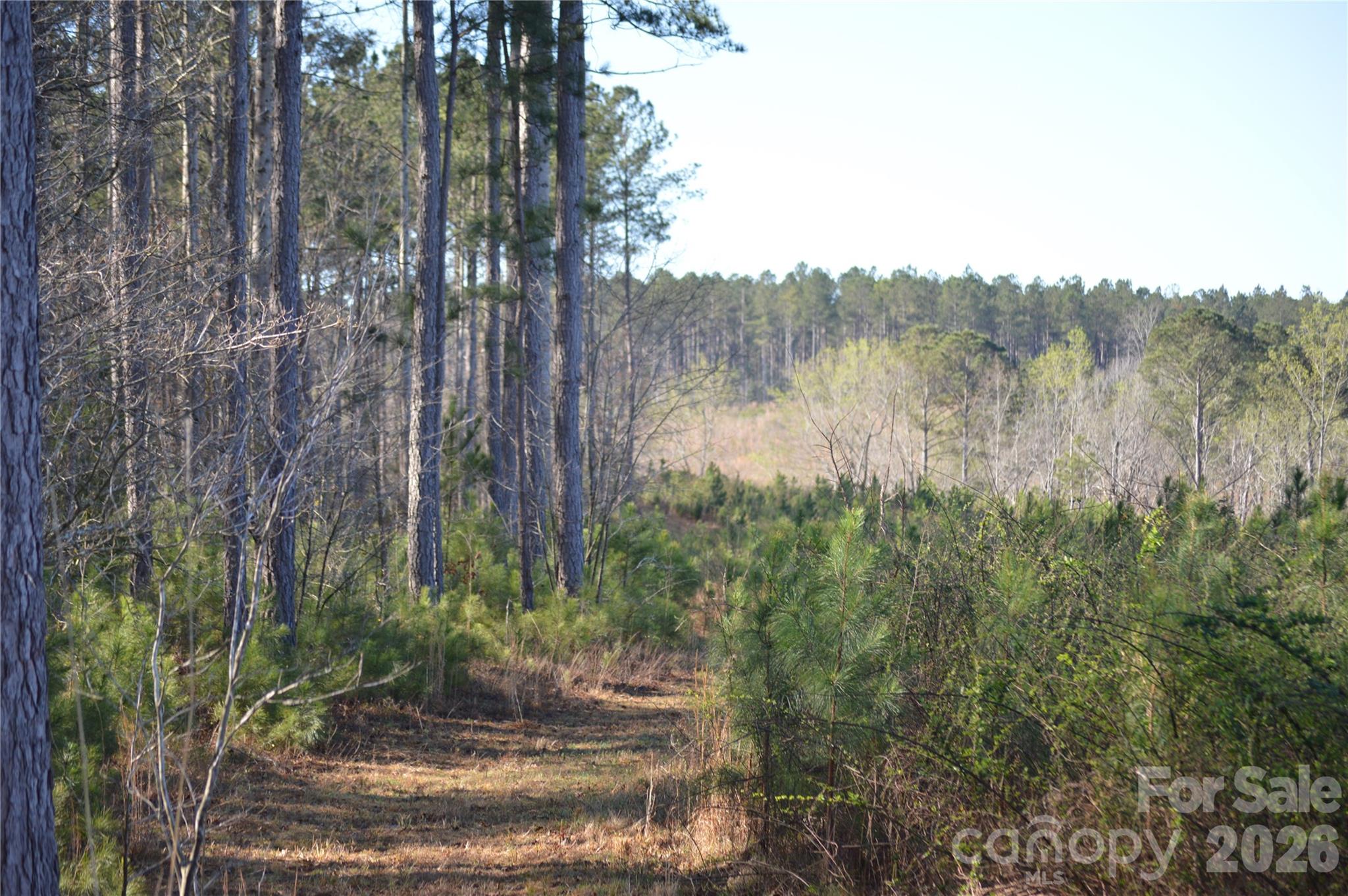 0 Peter Hawk Creek Road, Unit 14 Jonesville, SC 29353 - Photo 9 of 23 a view of a yard