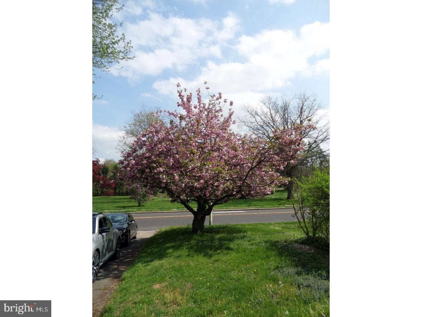 528 Baeder Road Jenkintown, PA 19046 - Photo 3 of 25 View from Front Door