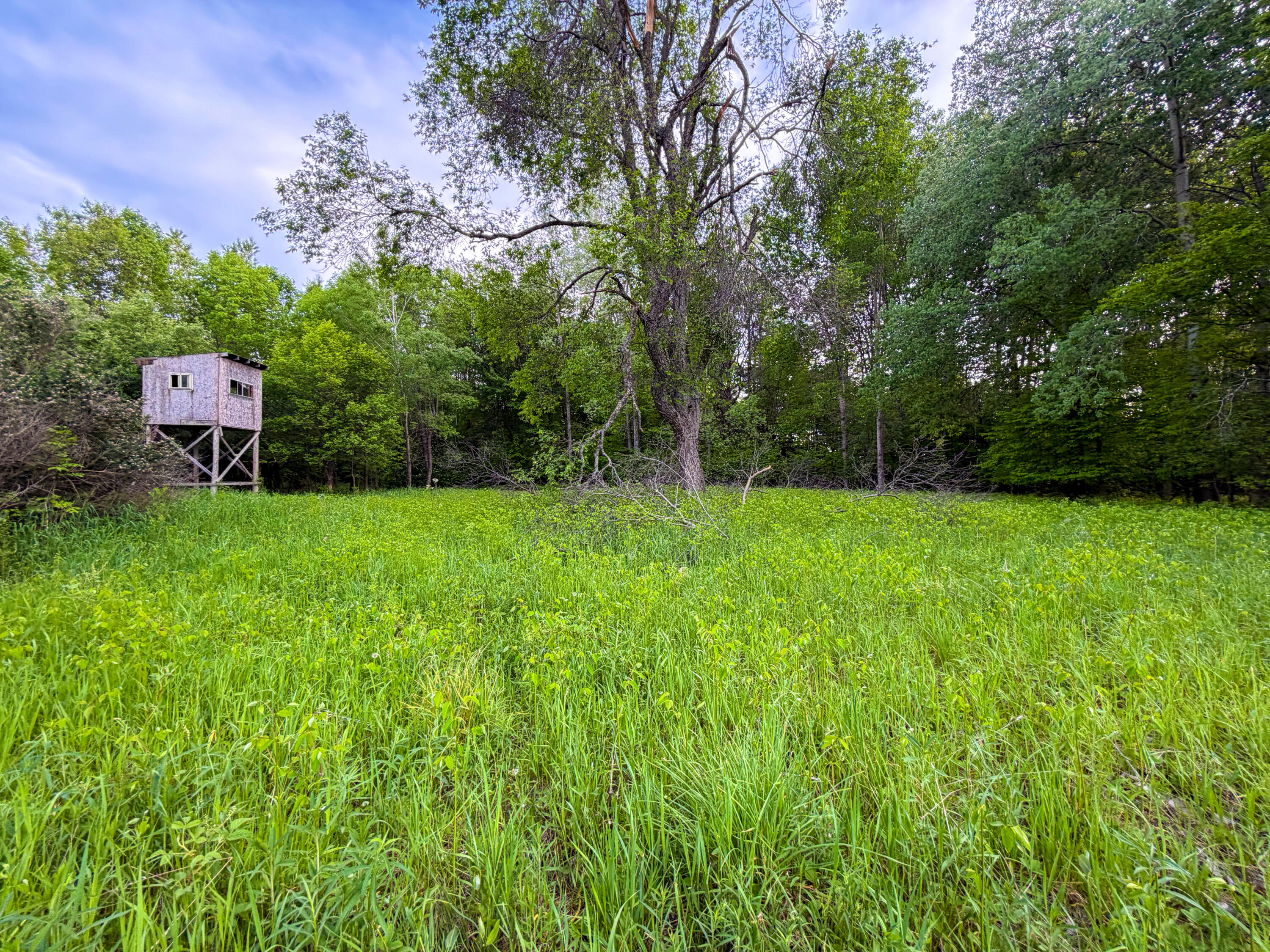 3091 East Sage Lake Road Lupton, MI 48635 - Photo 15 of 49 13