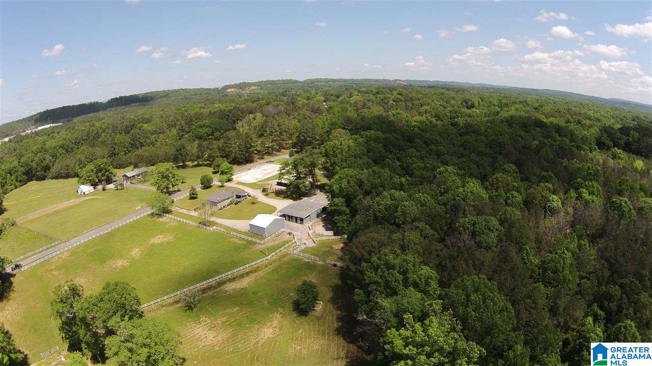 4025 Nixon Road Bessemer, AL 35022 - Photo 47 of 49