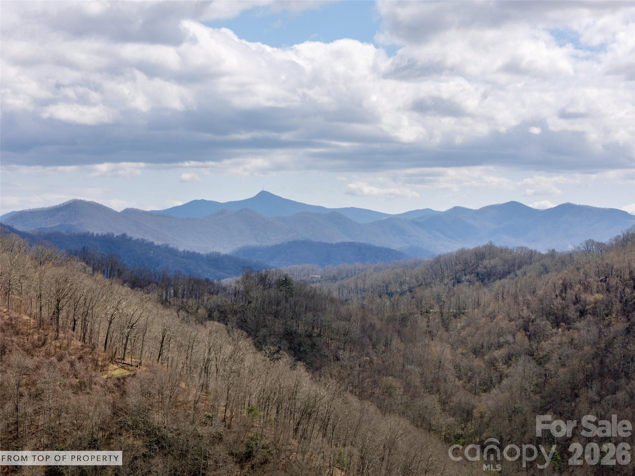 Tbd Wilson Cove Road Canton, NC 28716 - Photo 12 of 23