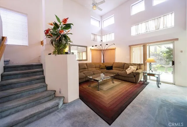a living room with furniture potted plant and a large window