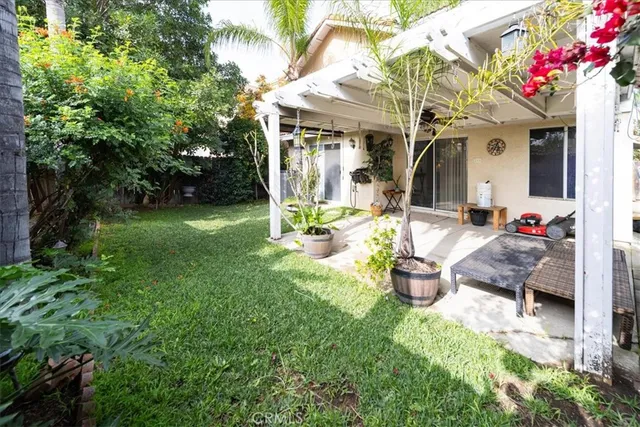 a view of a backyard with plants and large tree