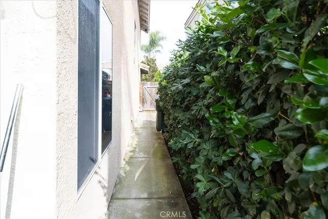 a view of electric tree