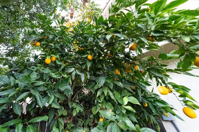 an aerial view of a house with garden space and street view