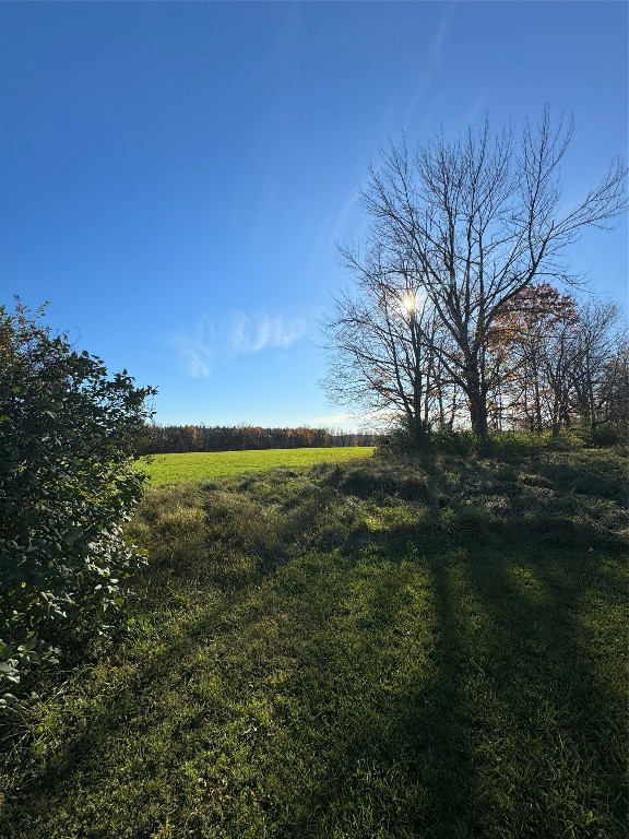 233 Ashley Road Maine, NY 13811 - Photo 11 of 42 Gallery Image 11