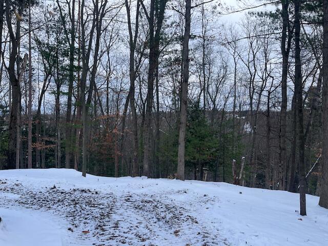 4660 Paper Birch Lane Traverse City, MI 49686 - Photo 33 of 33 IMG_0362