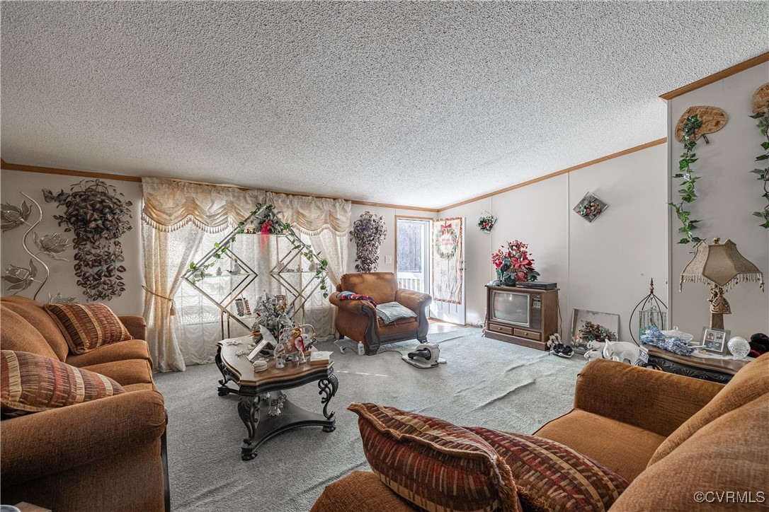 1107 Free State Road Meherrin, VA 23954 - Photo 19 of 45 Carpeted living room with a textured ceiling and o