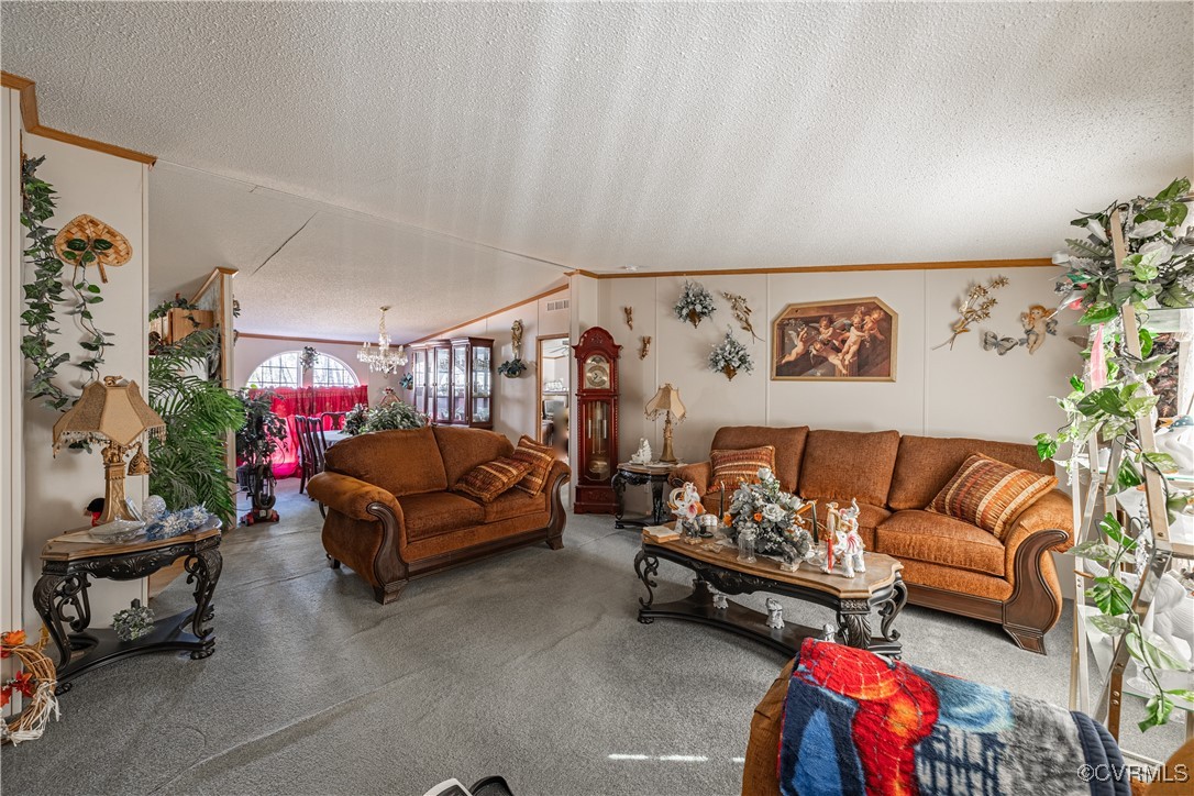 1107 Free State Road Meherrin, VA 23954 - Photo 21 of 45 Living room with carpet flooring, lofted ceiling,
