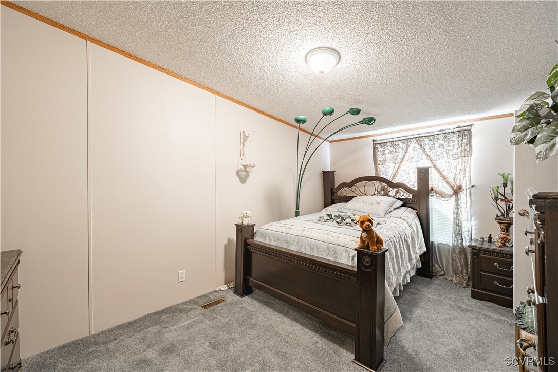 1107 Free State Road Meherrin, VA 23954 - Photo 24 of 45 Carpeted bedroom with ornamental molding and a tex