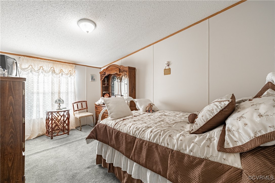 1107 Free State Road Meherrin, VA 23954 - Photo 26 of 45 Carpeted bedroom with lofted ceiling, crown moldin