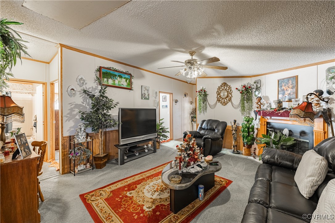 1107 Free State Road Meherrin, VA 23954 - Photo 39 of 45 Living room featuring light carpet, a textured cei