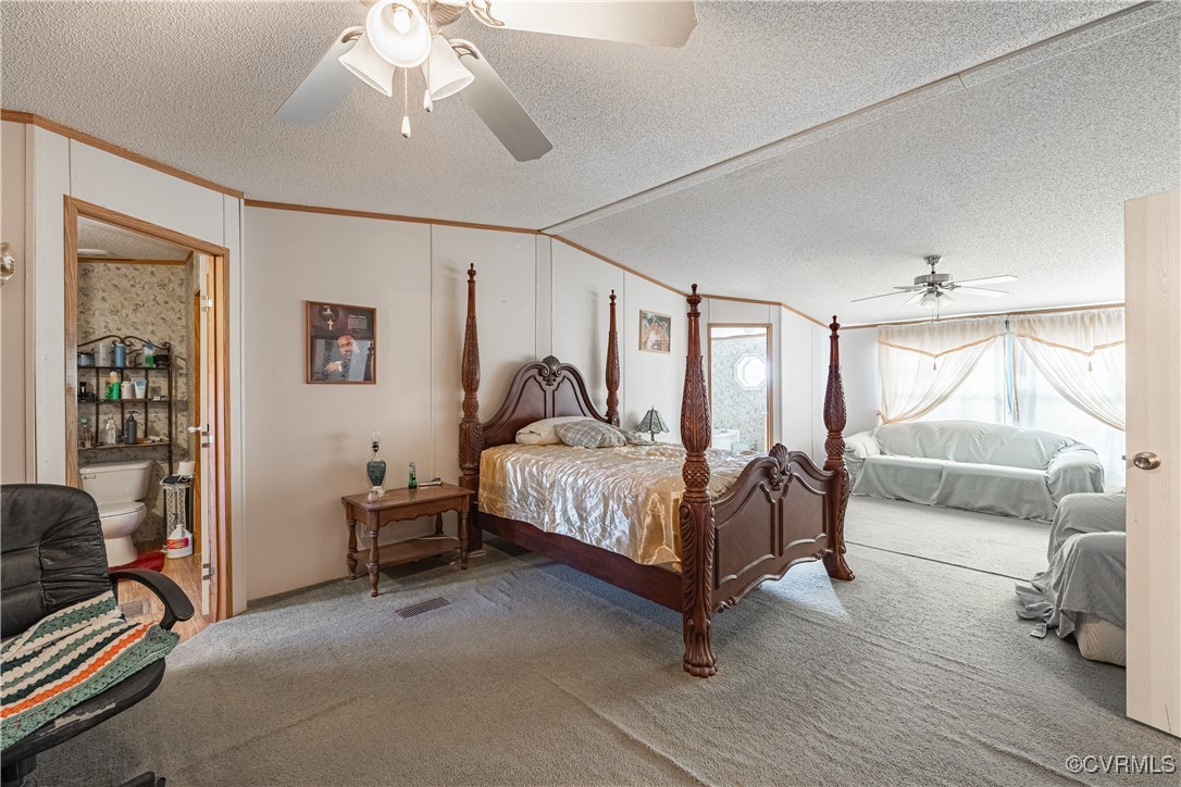 1107 Free State Road Meherrin, VA 23954 - Photo 40 of 45 Bedroom with carpet, a textured ceiling, ceiling f