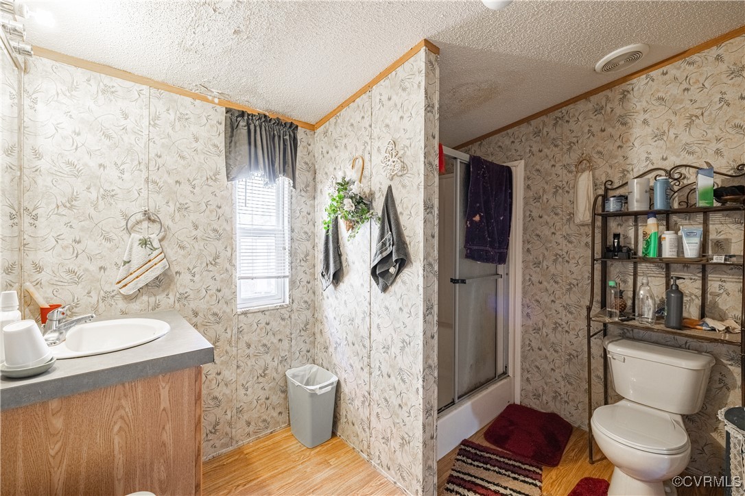 1107 Free State Road Meherrin, VA 23954 - Photo 42 of 45 Bathroom with vanity, crown molding, a textured ce