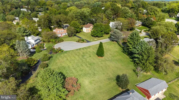 a view of a yard with plants