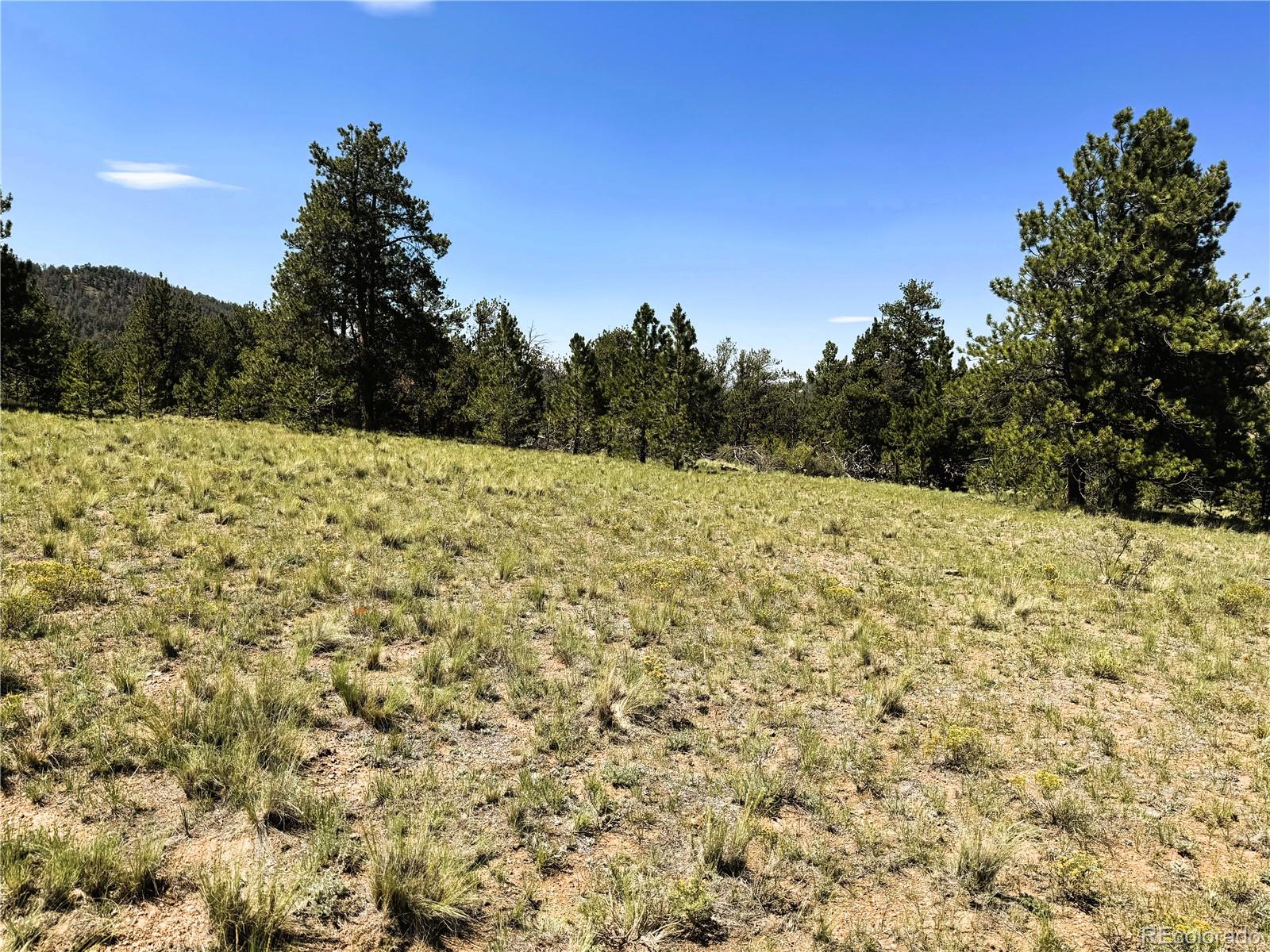 127 Boulder Road Hartsel, CO 80449 - Photo 9 of 34 Gallery Image 9