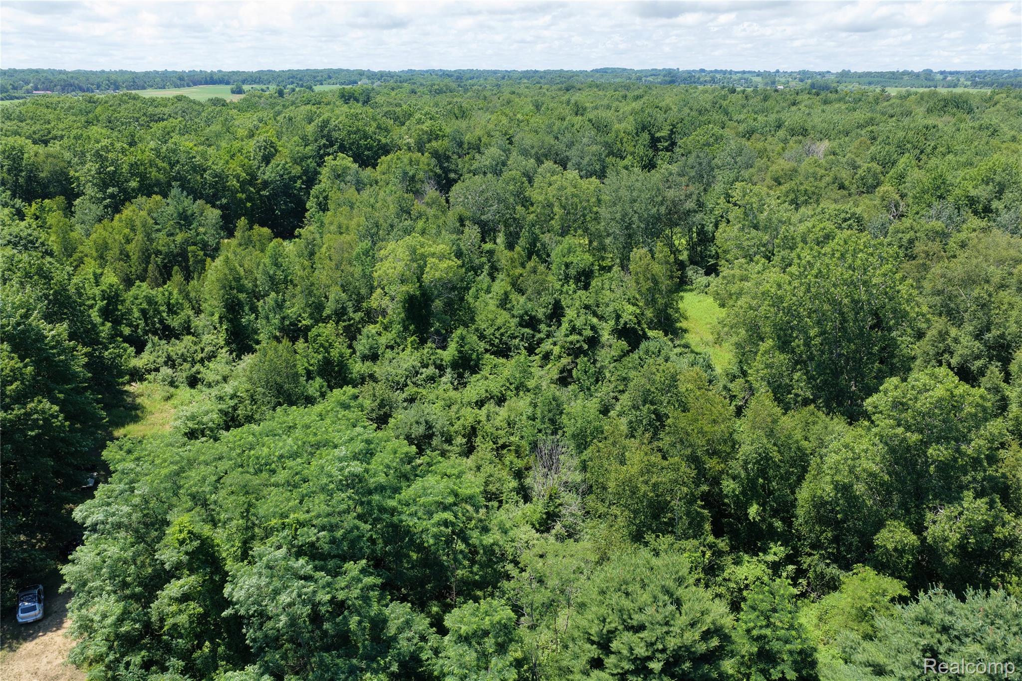 0 Lakeshore Road Applegate, MI 48401 - Photo 8 of 14 09.JPG
