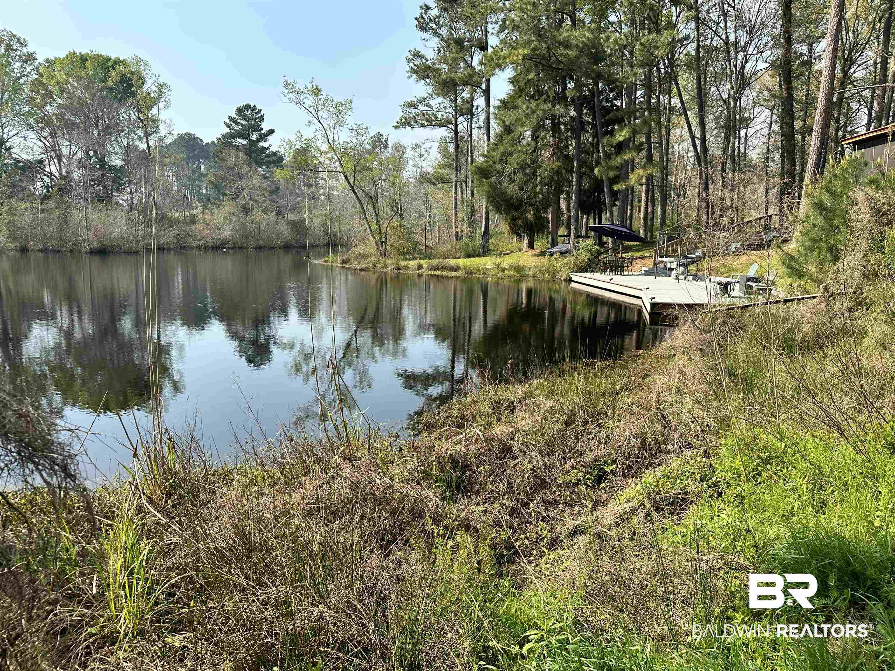 9 Pierce Lane Castleberry, AL 36432 - Photo 45 of 50