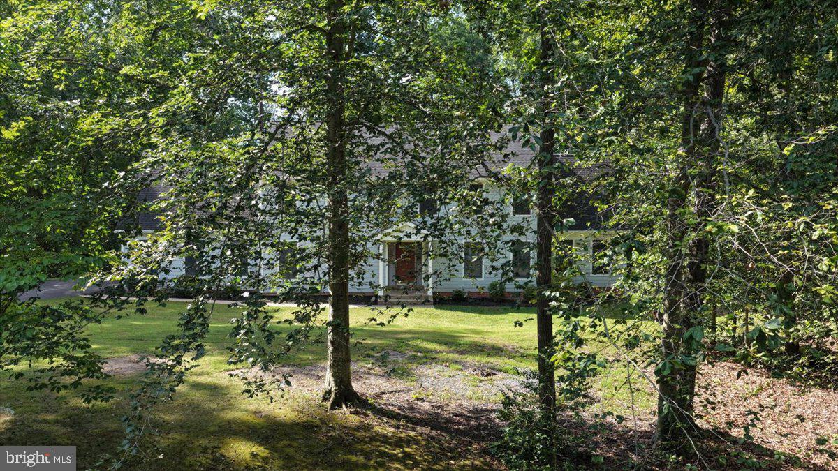 8253 Honeysuckle Road Manassas, VA 20112 - Photo 106 of 112 Serene home nestled among trees.