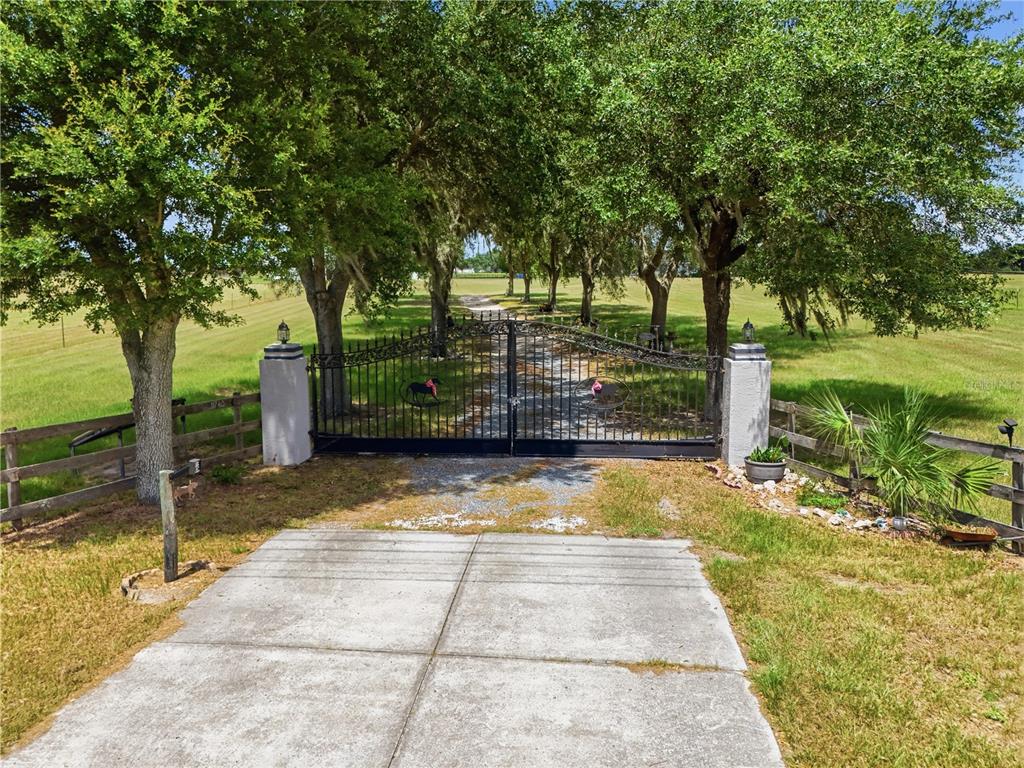 11748 Northeast Jacksonville Road Anthony, FL 32617 - Photo 1 of 50