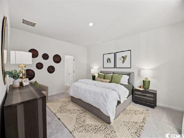 900 Blacksmith Drive Loris, SC 29569 - Photo 10 of 12