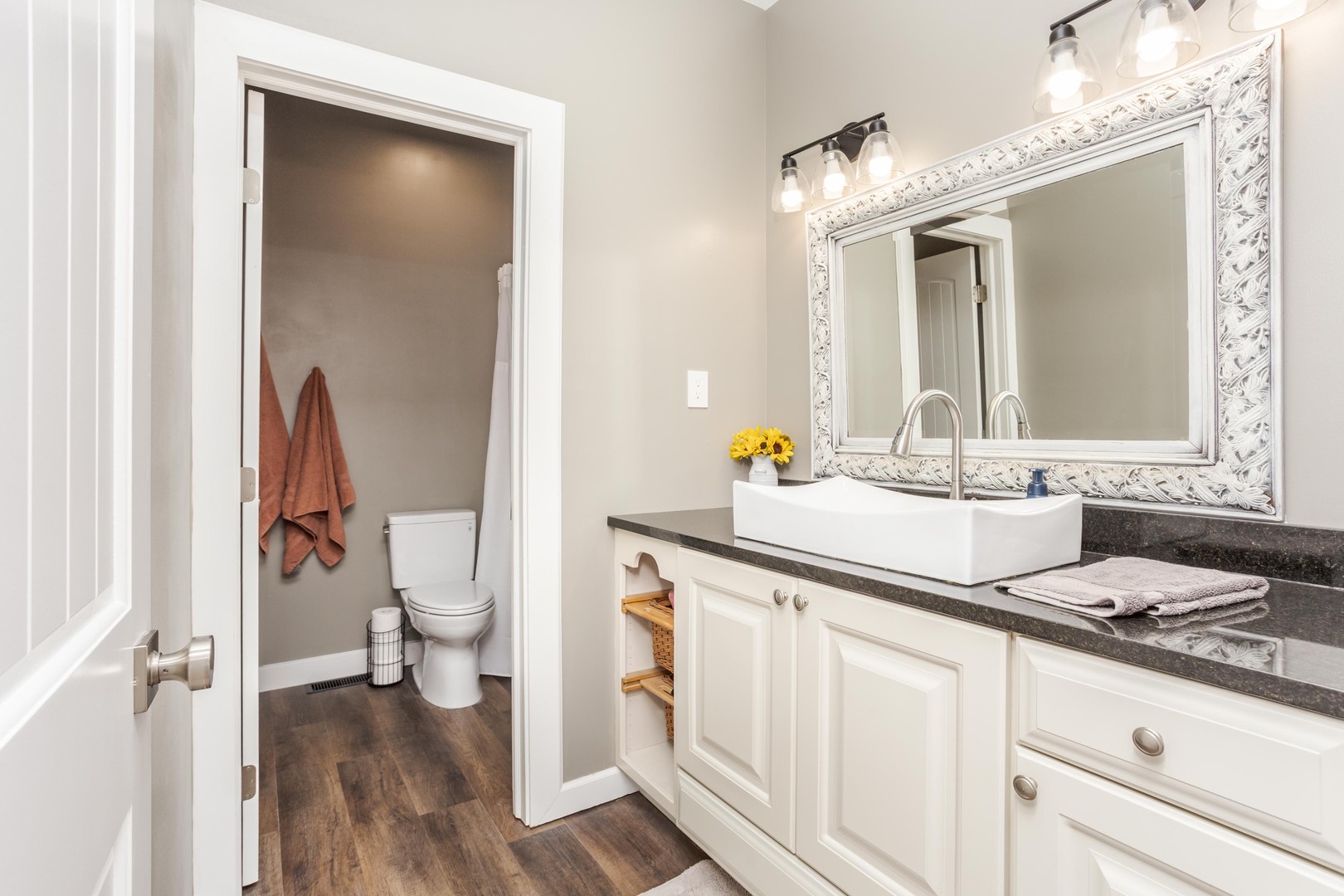 1651 North 2800 East Road Le Roy, IL 61752 - Photo 29 of 90 a bathroom with a sink and a mirror
