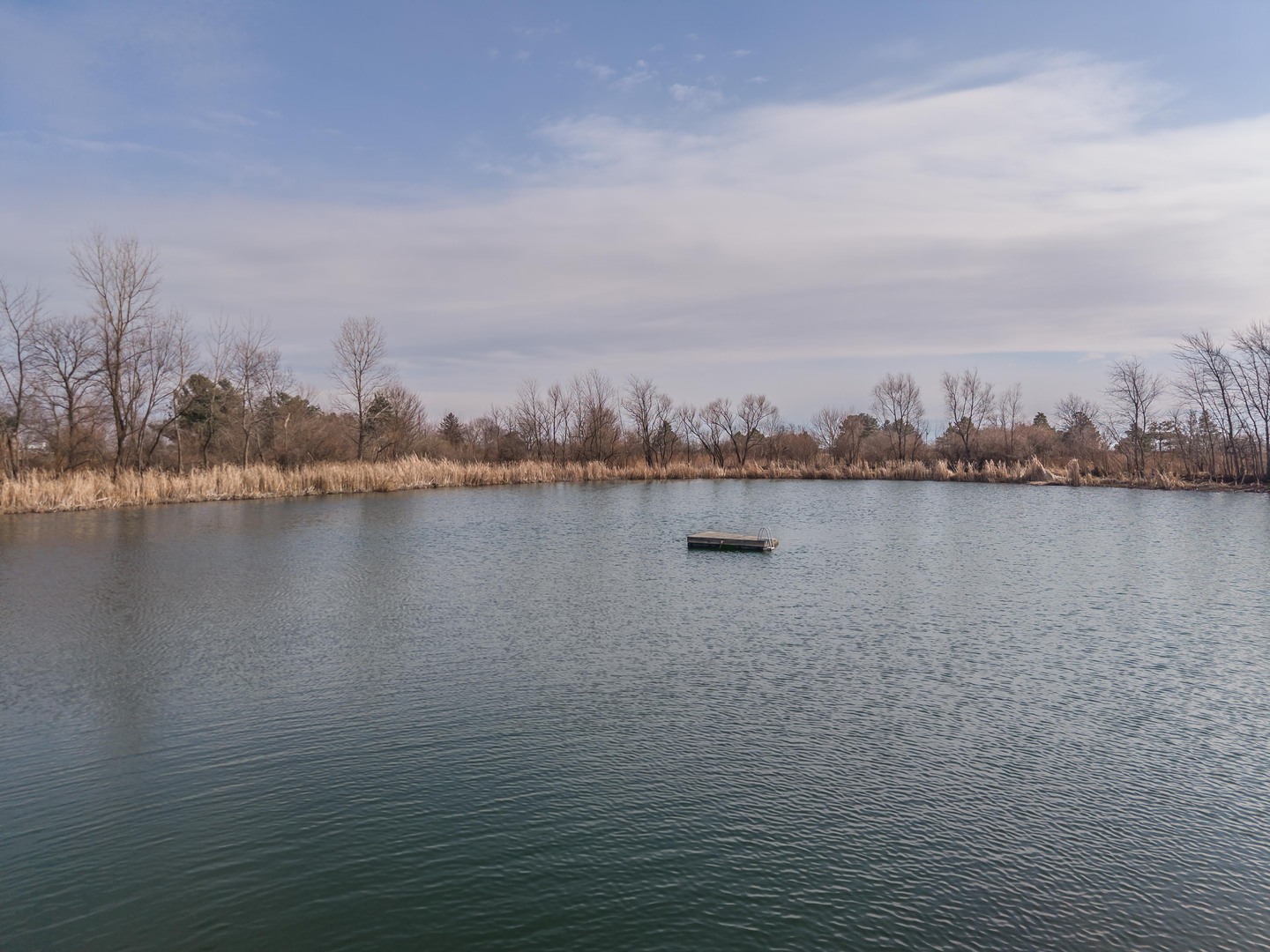1651 North 2800 East Road Le Roy, IL 61752 - Photo 73 of 90 a view of a lake with houses in the back