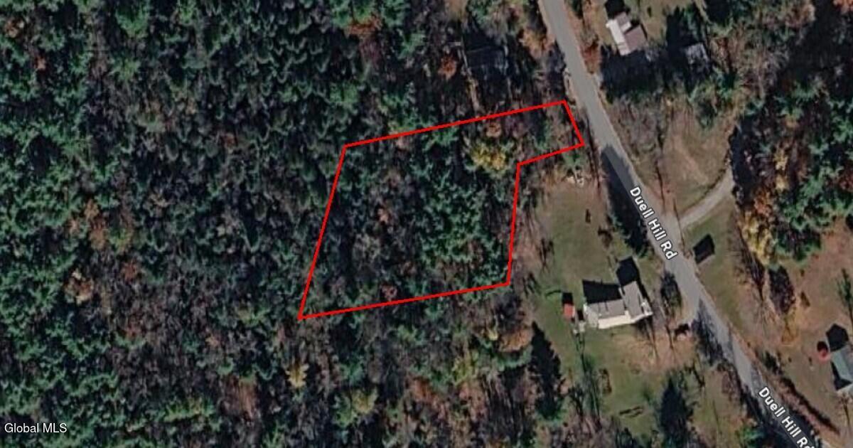 L12 Duell Hill Road Brant Lake, NY 12815 - Photo 1 of 1 1