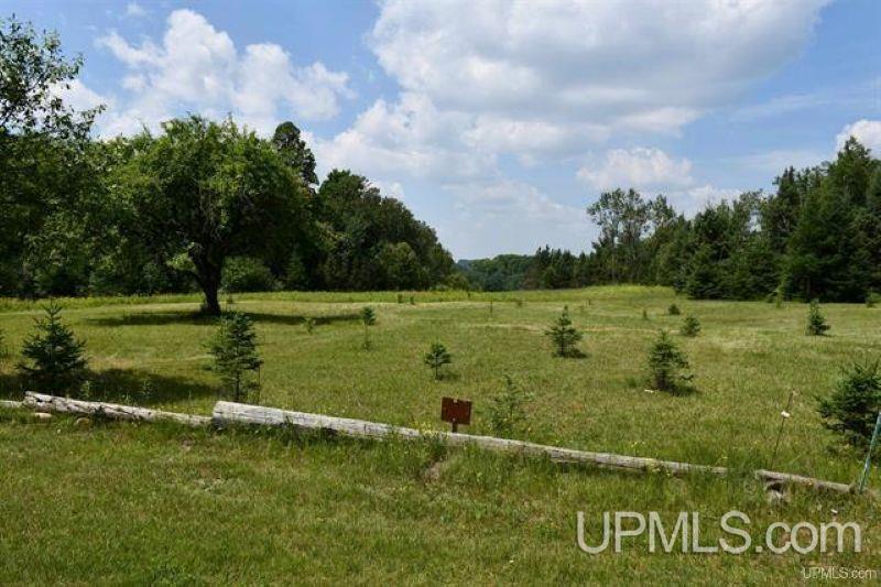 Lot#25 Fordville Road Foster City, MI 49834 - Photo 22 of 27
