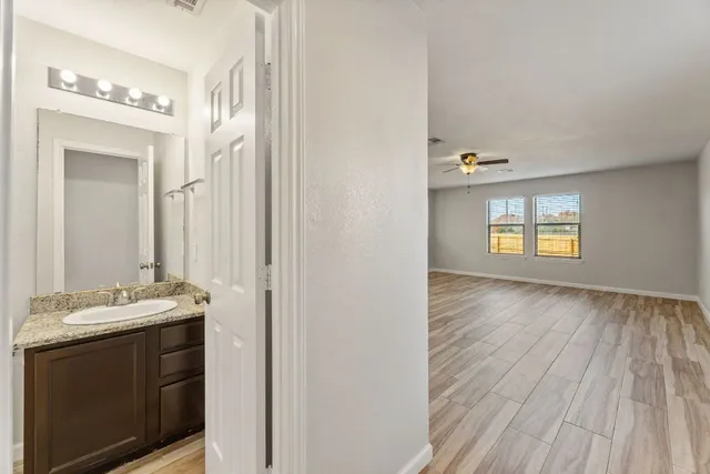 a bathroom with a sink and a mirror