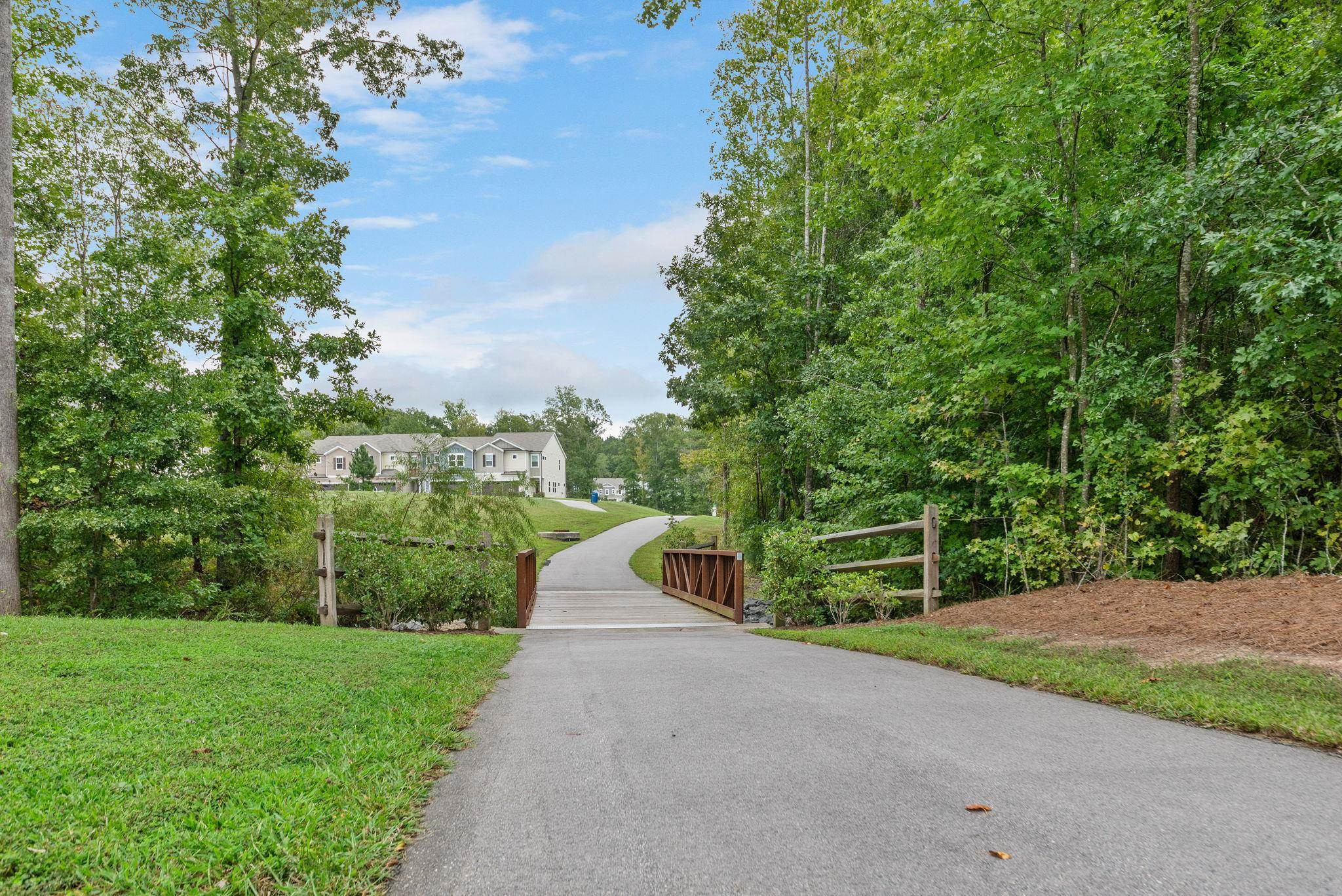 3422 Dropseed Drive Apex, NC 27502 - Photo 38 of 40 a view of a yard with plants and a large trees