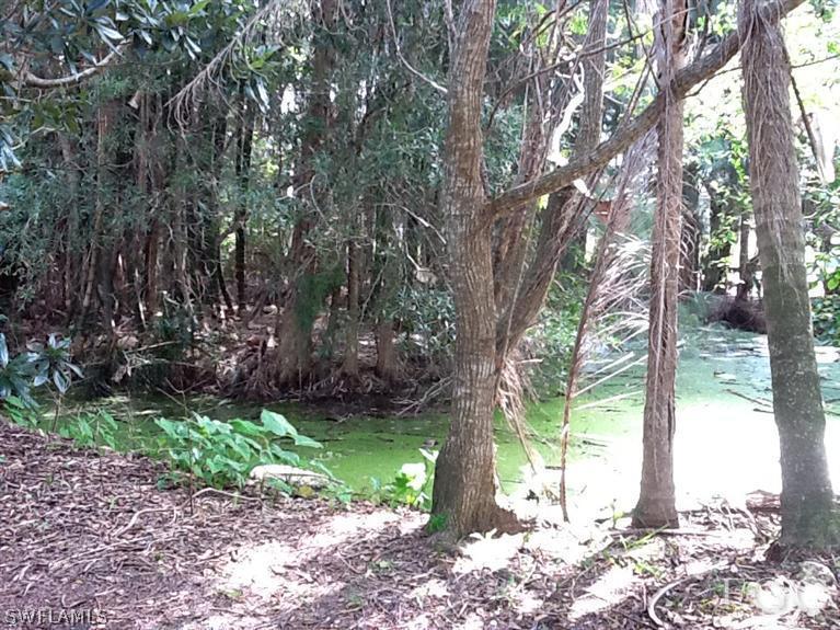 1570 Case Road LaBelle, FL 33935 - Photo 3 of 8 Gallery Image 3