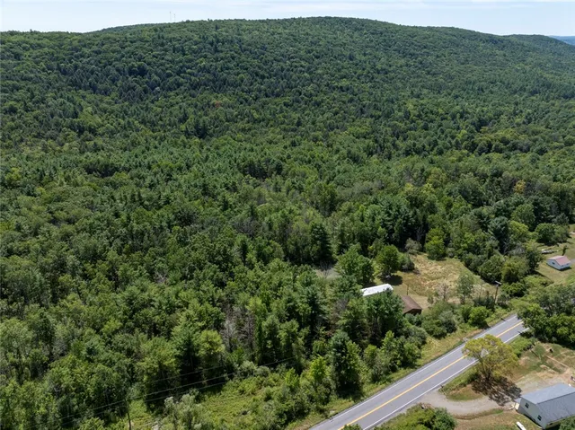 $169,500 | 8230 County Route 16, Savona, NY 14879