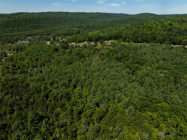 $169,500 | 8230 County Route 16, Savona, NY 14879