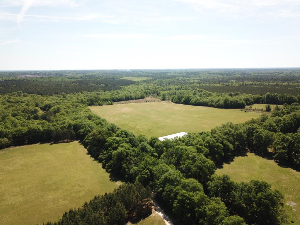 Tbd Tbd Dixie Road South Wagener, SC 29164 - Photo 14 of 25