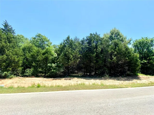 $75,000 | 9 A Pine Hills Drive, Gordonville, TX 76245