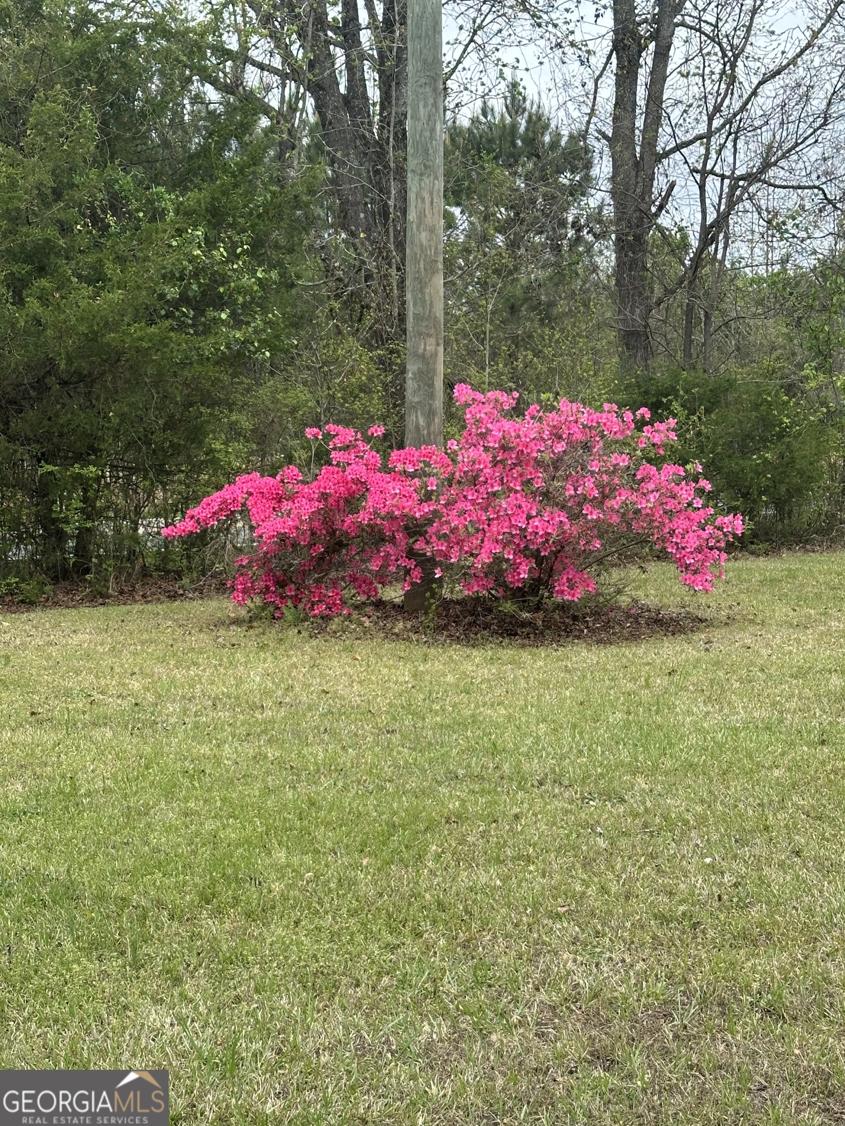 1959 Stroud Road McDonough, GA 30252 - Photo 12 of 87