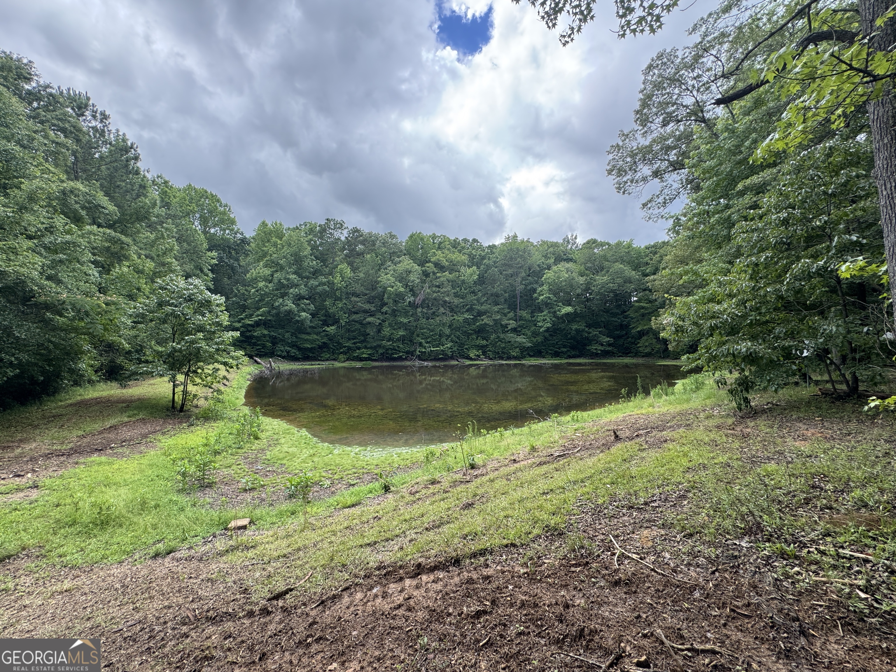 3413 Dames Ferry Road Forsyth, GA 31029 - Photo 3 of 23