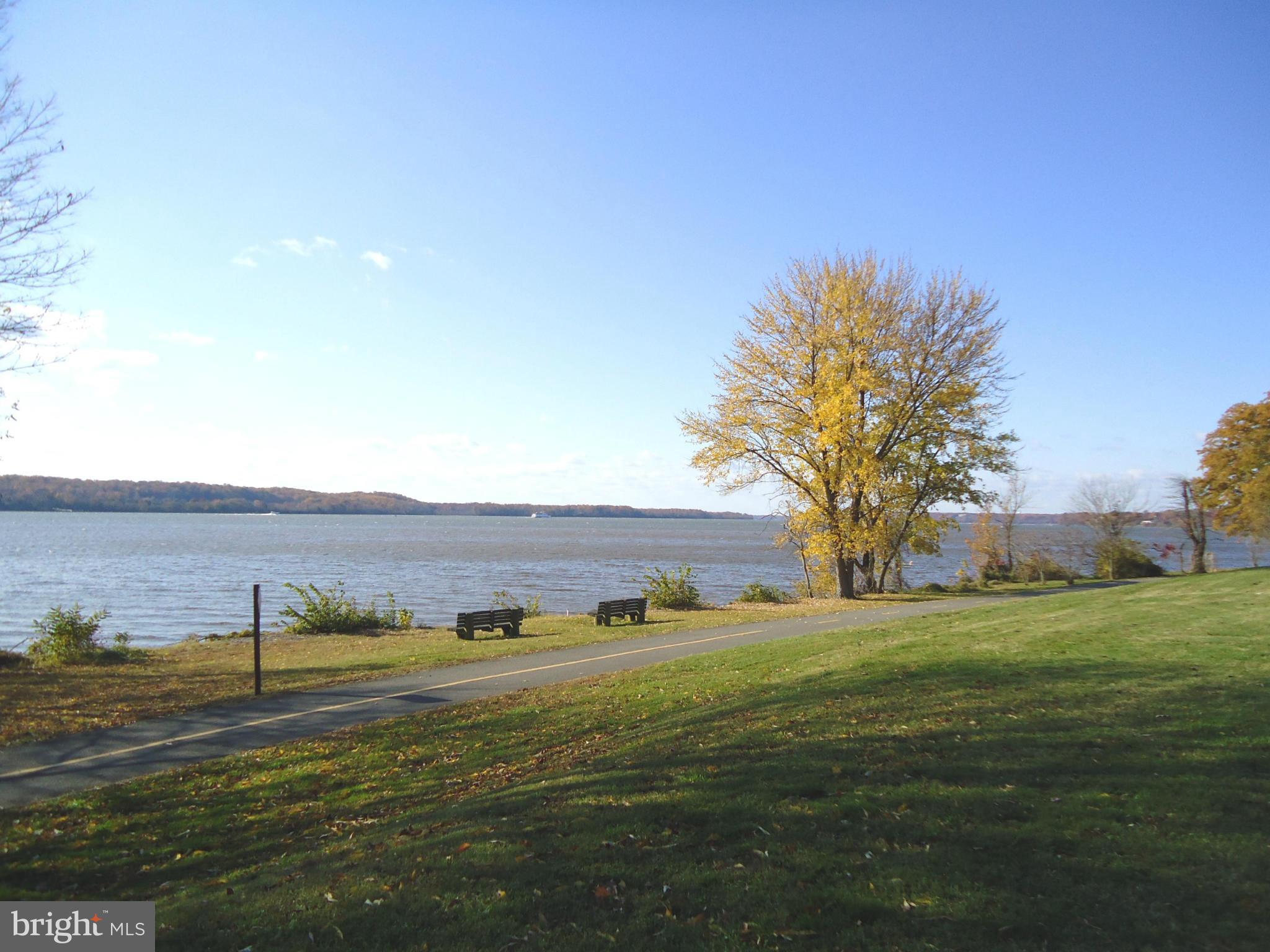 8011 Jackson Road Alexandria, VA 22308 - Photo 28 of 30 Living along the Potomac River is nice!